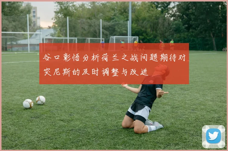 谷口彰悟分析荷兰之战问题期待对突尼斯的及时调整与改进