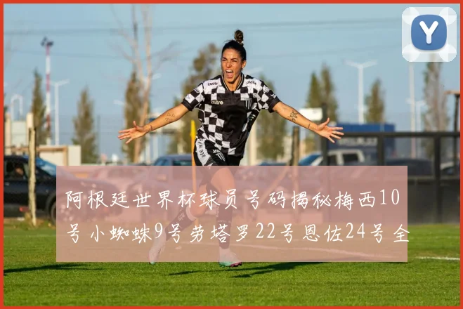 阿根廷世界杯球员号码揭秘梅西10号小蜘蛛9号劳塔罗22号恩佐24号全解析